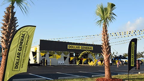 a sign in front of a palm tree