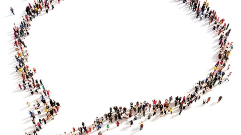 a crowd of people skiing on the snow