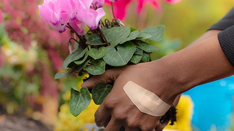 a hand holding a flower