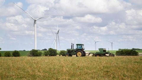 a large green field with trees in the background