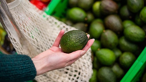 meijer avocado pilot teaser