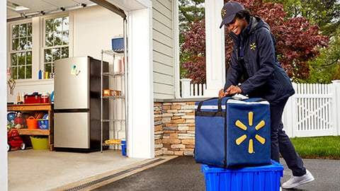 walmart inhome garage delivery