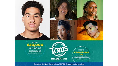 tom's of maine incubator teaser