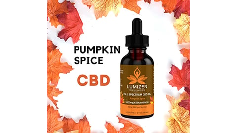 lumizen pumpkin spice