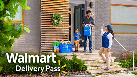 walmart delivery pass teaser