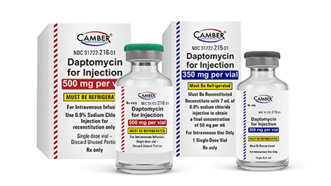 daptomycin