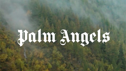 palm angels