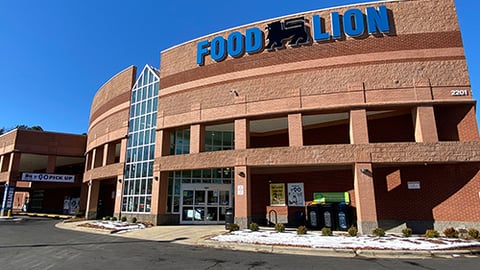 food lion north carolina store