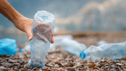 Shot of human hand of unknown person while removing plastic bottles from beach.; Shutterstock ID 2368126779