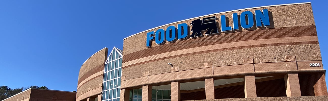 food lion north carolina store