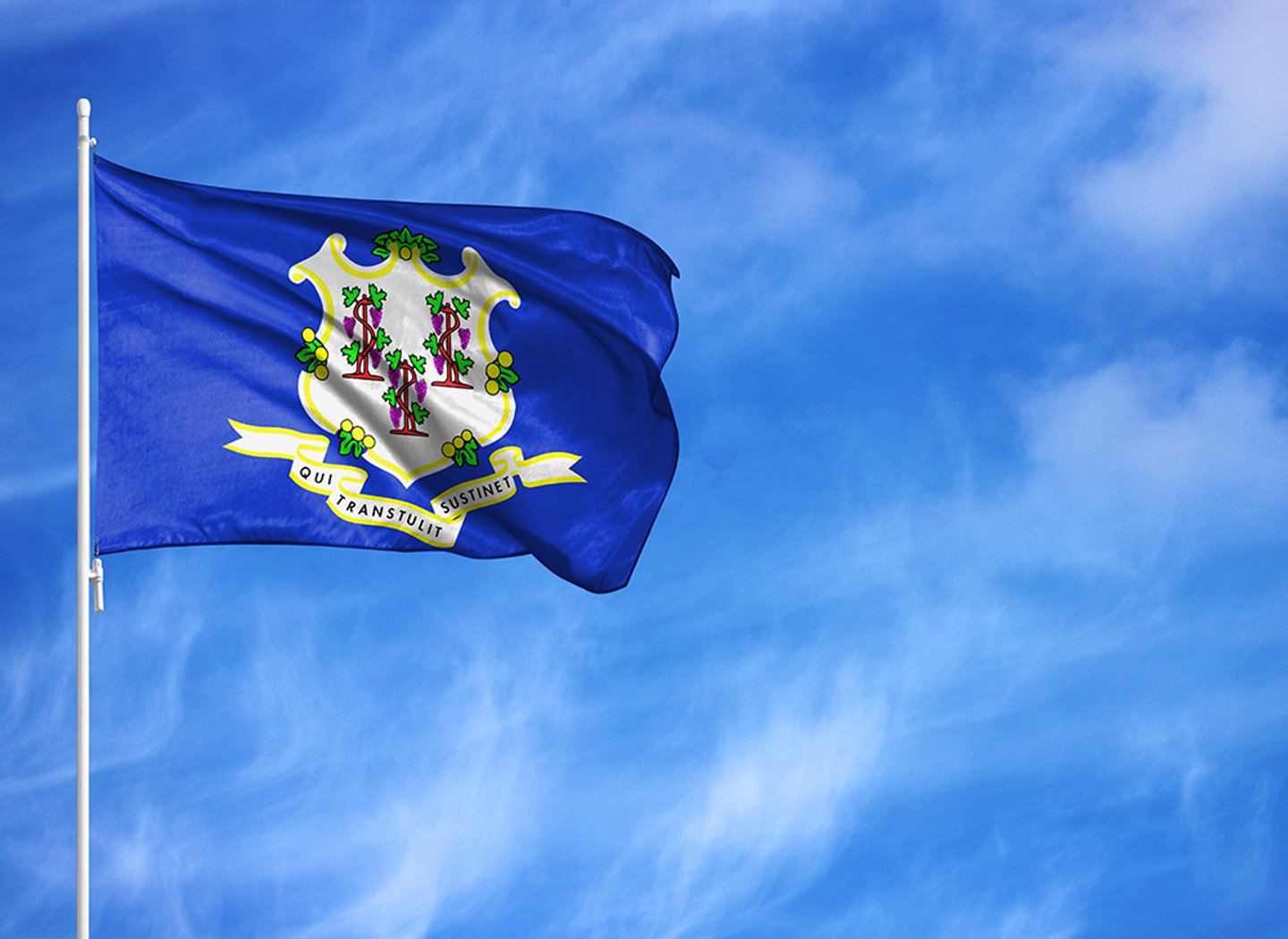 Connecticut flag