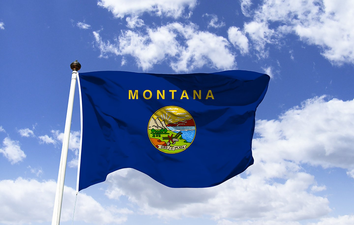 montana flag