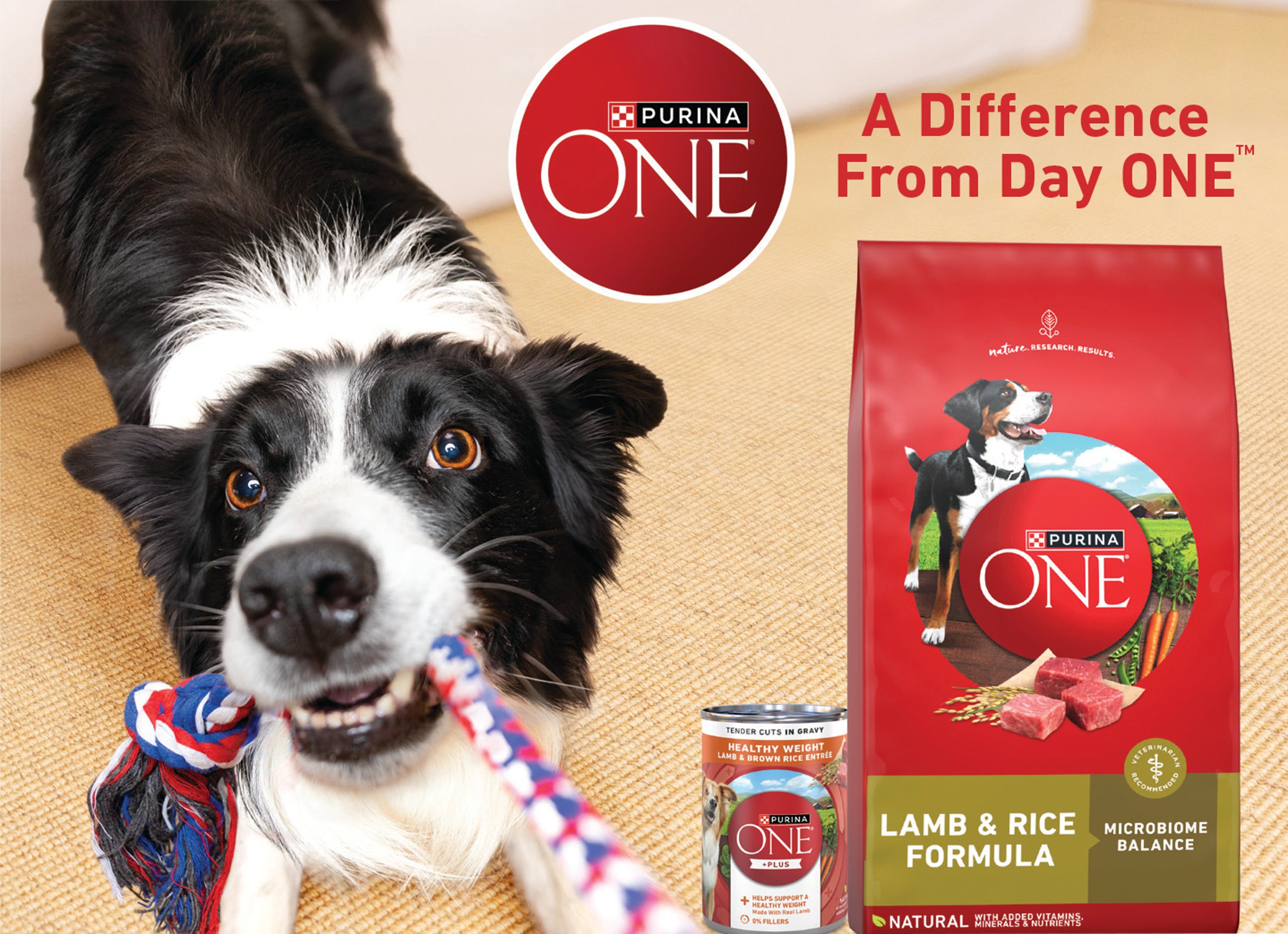 nestle purina one