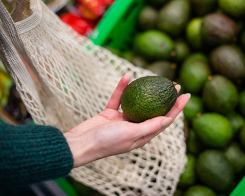 meijer avocado pilot