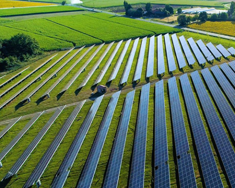 meijer solar
