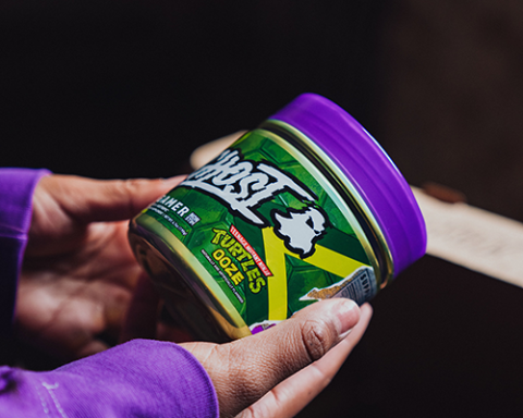 ghost x tmnt web