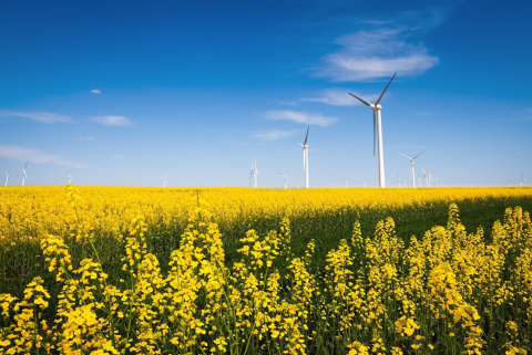 Meijer wind energy web