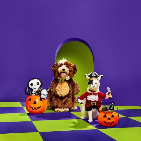 Petco "Bootique" collection