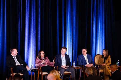 dsn issue summit panel