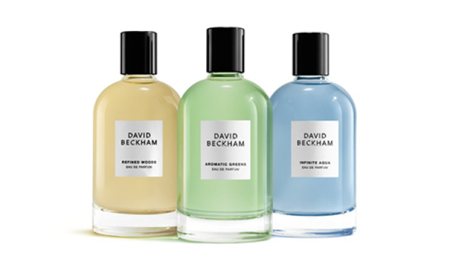 david beckham the collection